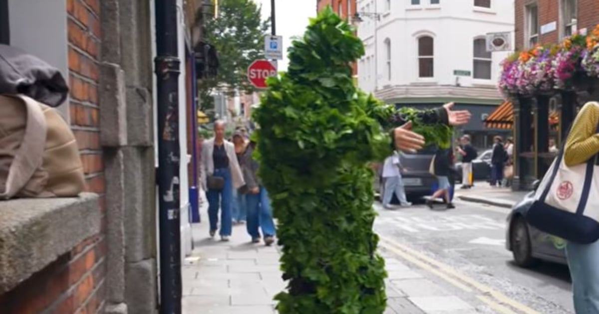 Dublin ‘Bushman’ defends street ‘prank’ amid criticism of online video business – The Irish Times