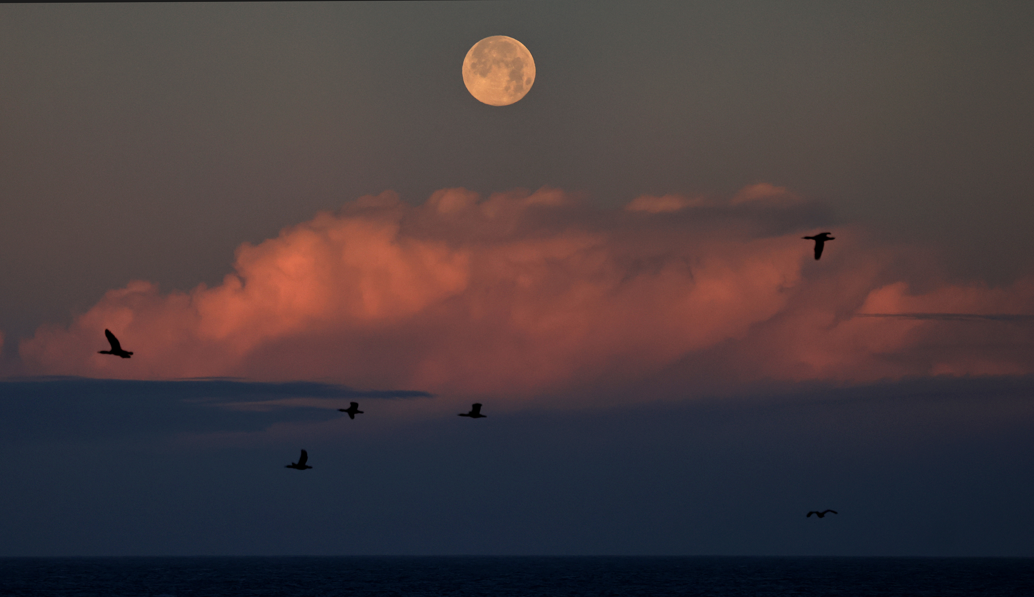 The Wolf Moon sets over a building thunderstorm, Saturday, Jan....