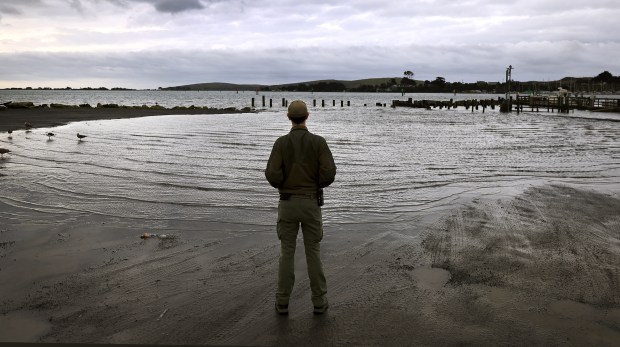 Matt Hyles with Sonoma County Regional Parks checks on the King Tide inundation of a parking lot Friday, Jan. 2, 2026, in Bodega Bay. (Kent Porter / The Press Democrat)
