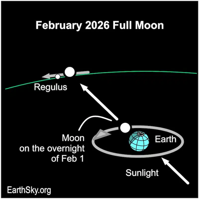 The Snow Moon Will Align With Regulus For A Rare Celestial Event In February 2026.