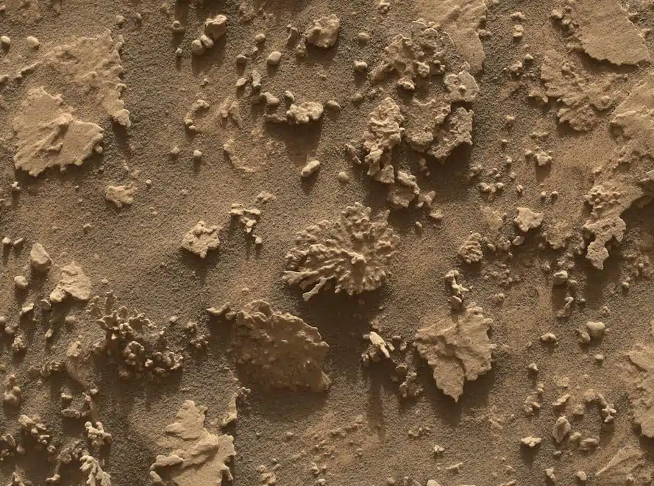 This Mosaic Of Textured Rock Structures On Mars Was Imaged By Nasa’s Curiosity Rover.
