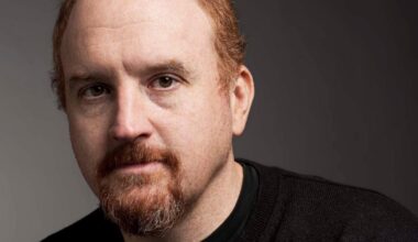 Louis CK has written a novel – is it an unwitting piece of inner-child therapy? – The Irish Times