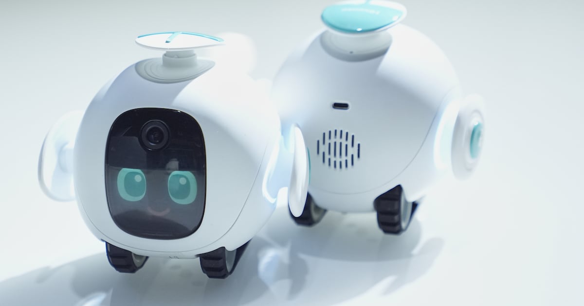 Hipster robots and cuddly artificial intelligence take over Las Vegas – The Irish Times