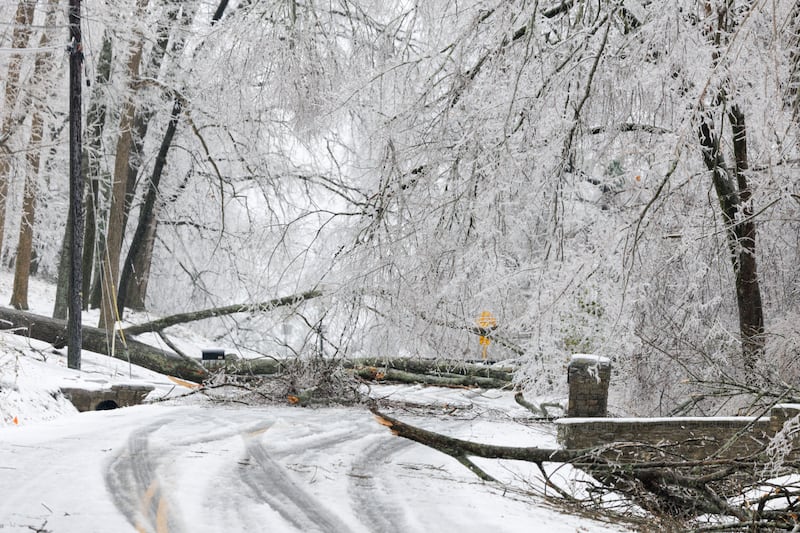 Fallen branches and trees lay across roadways and utility lines during a winter storm on in Nashville, Tennessee, on Sunday. Photograph: Brett Carlsen/Getty