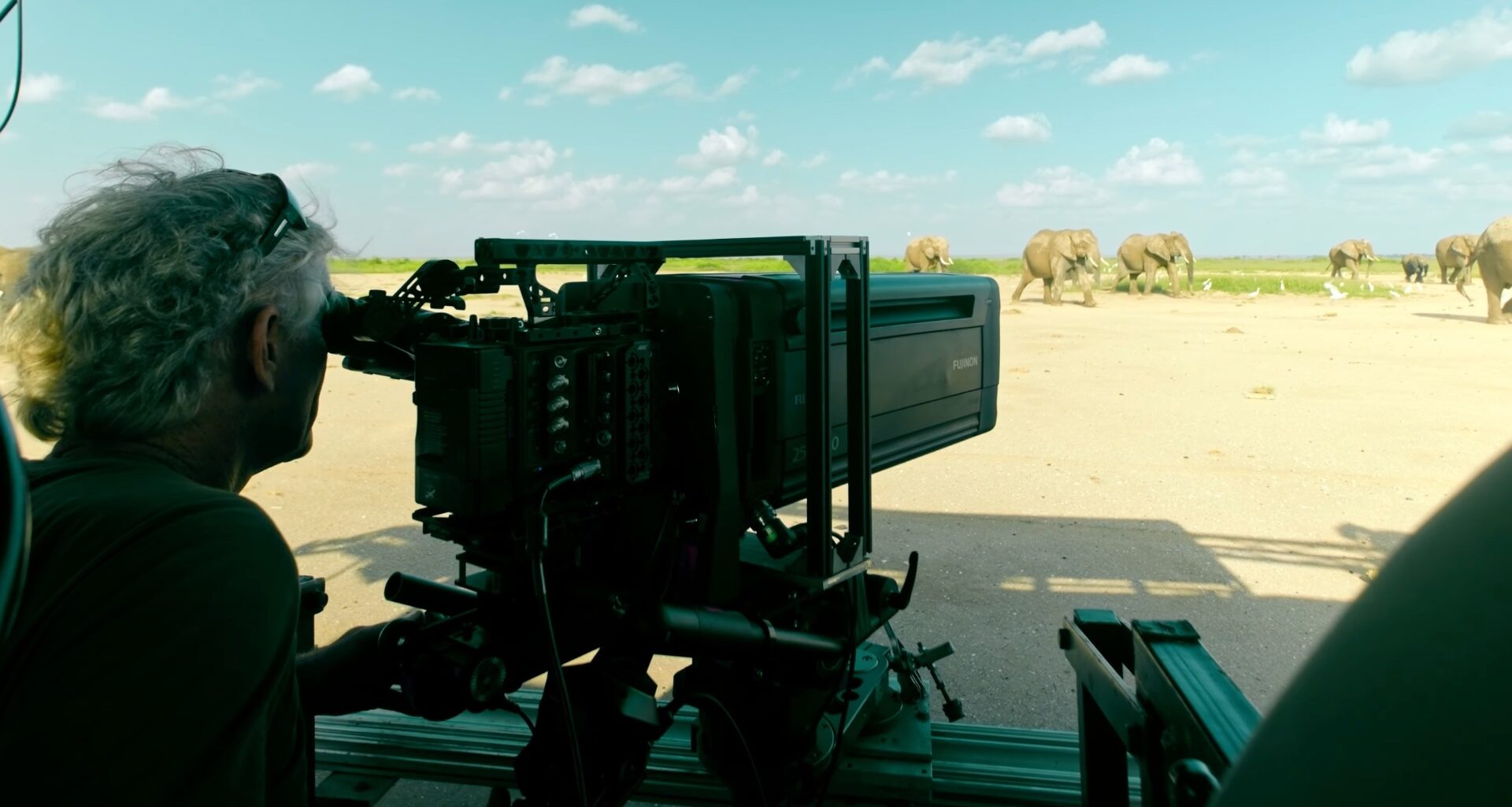 Cinematographer Bob Poole on Filming Elephants With FUJINON Duvo HZK25-1000mm – Respectful Wildlife Filmmaking