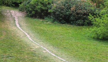 Pedestrians are too often an afterthought in cities, as Canberra’s desire paths show – The Irish Times