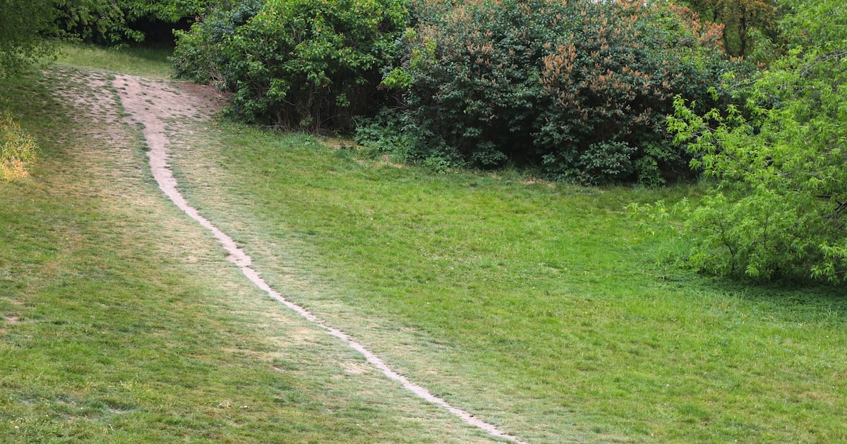 Pedestrians are too often an afterthought in cities, as Canberra’s desire paths show – The Irish Times