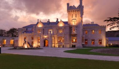 Profits jump at Harcourt Development Group – The Irish Times