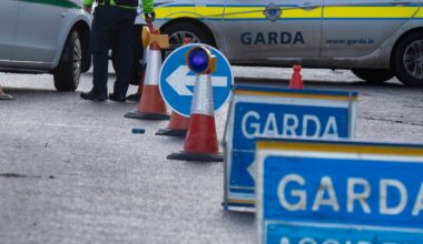 Truck driver remanded on charge of dangerous driving causing death of woman before Christmas – The Irish Times