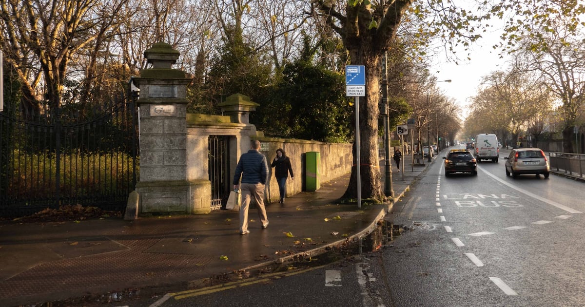 The Dublin half hectare that became a self-sustaining sanctuary for nature – The Irish Times
