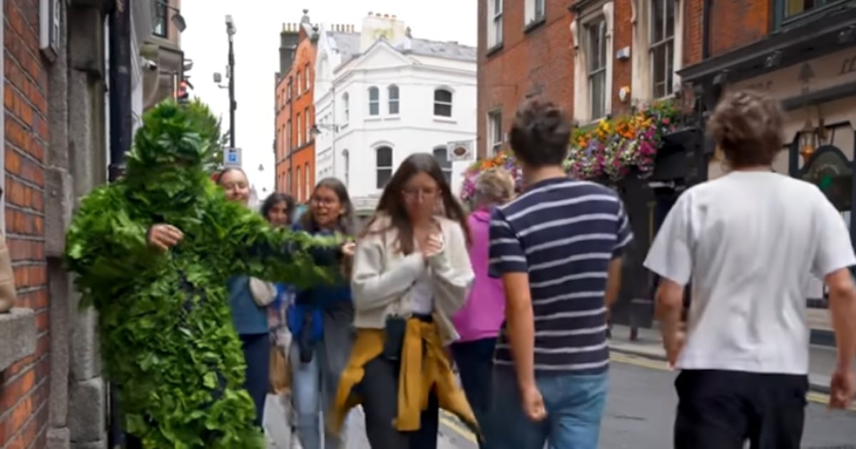 I hate the Dublin Bushman and his scaring of young women for money – The Irish Times