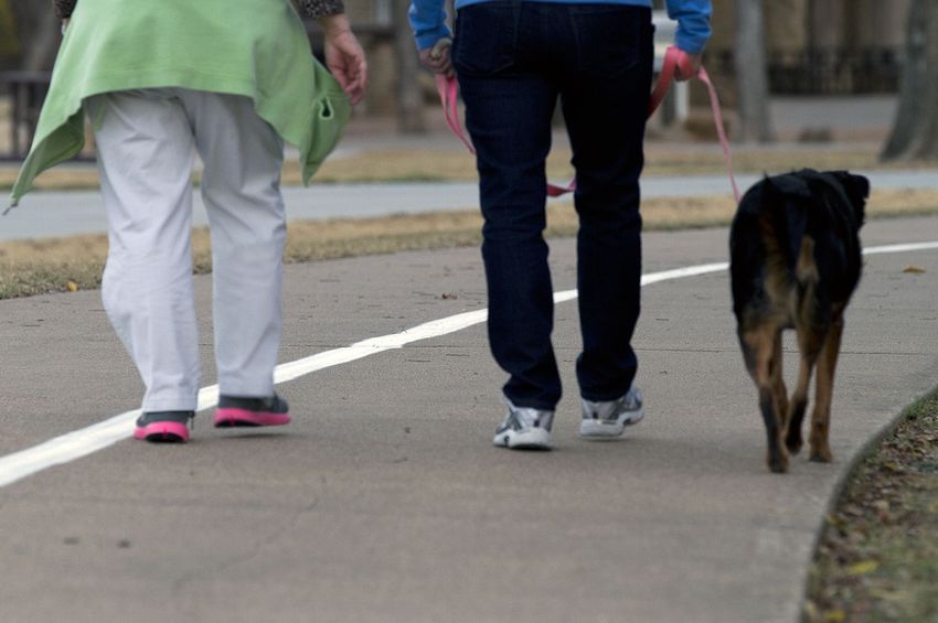 Movement matters: Light activity led to better survival in diabetes, heart, kidney disease