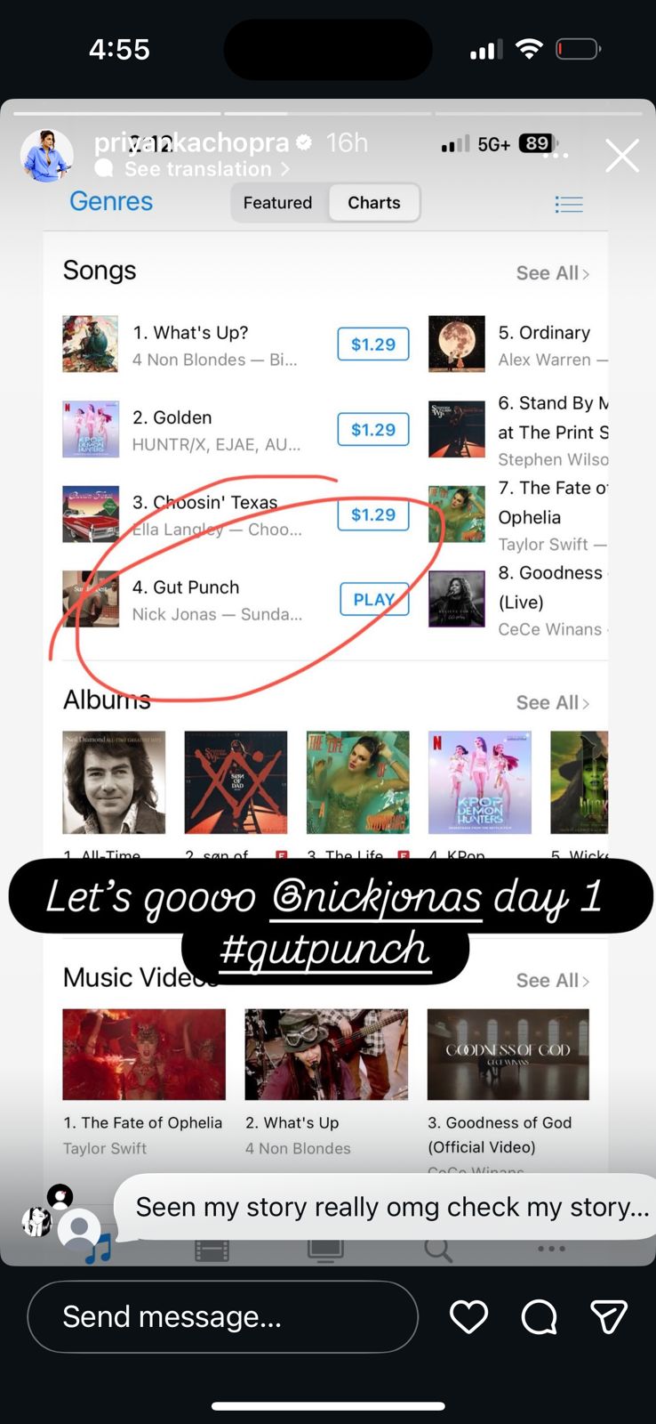 A screenshot of Priyanka Chopra's Instagram stories.