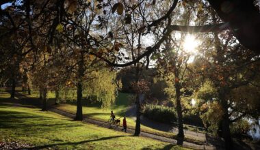Some retired public service staff live in State-owned homes with weekly rents as low as €12 – The Irish Times