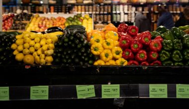 US producer prices increase moderately in November