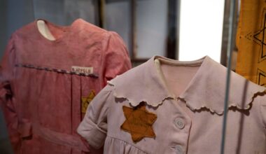 Almost one in 10 young Irish adults believe Holocaust is a ‘myth’ – The Irish Times