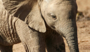 Yahoo lifestyle home