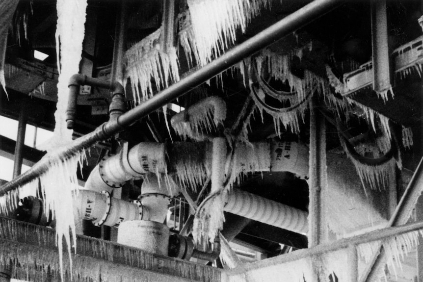 Black-and-white photograph looking up at white icicles hanging down off pipes and metal beams.