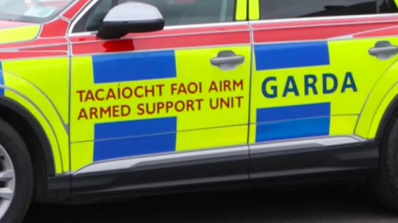 Child taken to hospital after dog attack in Callan, Kilkenny