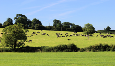 Average farm income forecast to fall 19% in 2026