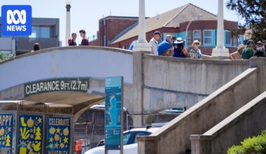 Locals oppose tearing down of Bondi terror attack bridge at Waverley Council meeting