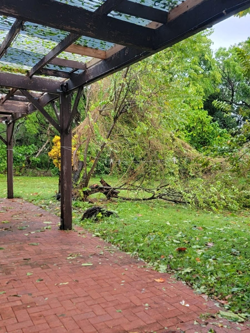 Trees down in a building's yard.