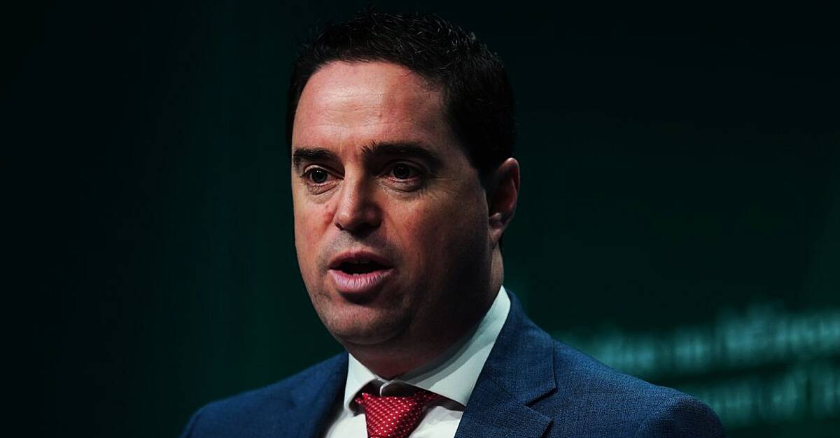 Bluetongue virus detected in Co Wexford herd, minister says