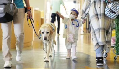 Bangkok Post - Japan's hospital dogs bring moments of normalcy to seriously ill children
