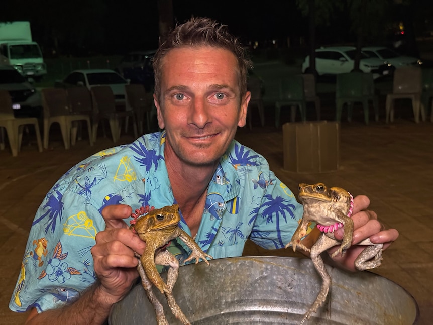 A man in a bright blue Hawaiian shirt holds a cane toad in each hand.