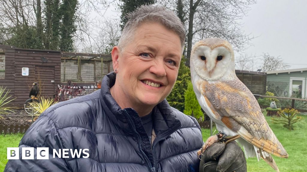 Dorset wildlife centre 'heartbroken' to end rescue service