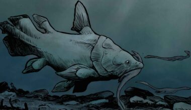 Coelacanth fish had undiscovered relatives 200-million years ago