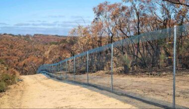 Endangered Species Are Bouncing Back to 90% on Kangaroo Island Thanks to Predator-Proof Fence