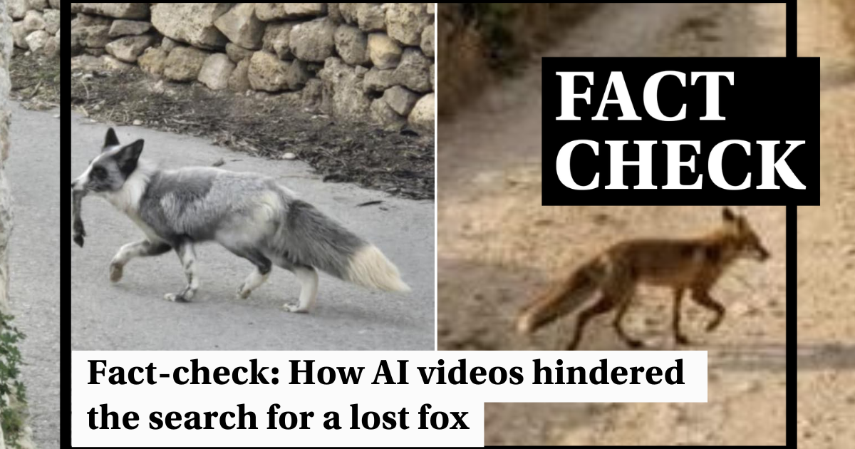 How AI-generated fox videos sowed confusion over genuine sighting