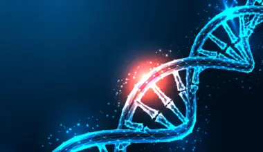 This CRISPR breakthrough turns genes on without cutting DNA