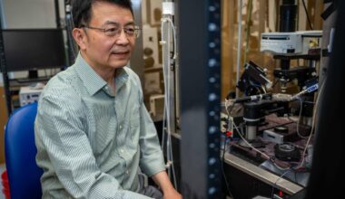 Restoring mitochondria shows promise for treating chronic nerve pain