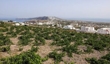 Spatial uncertainty, limited land curb investment, report warns