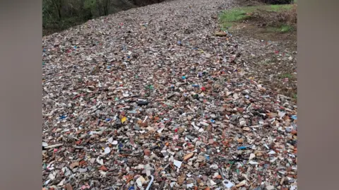 Peopleton community A field that is completely covered in rubble and mixed waste, including broken bricks, stones and bits of plastic. Bushes and fields line the sides. 