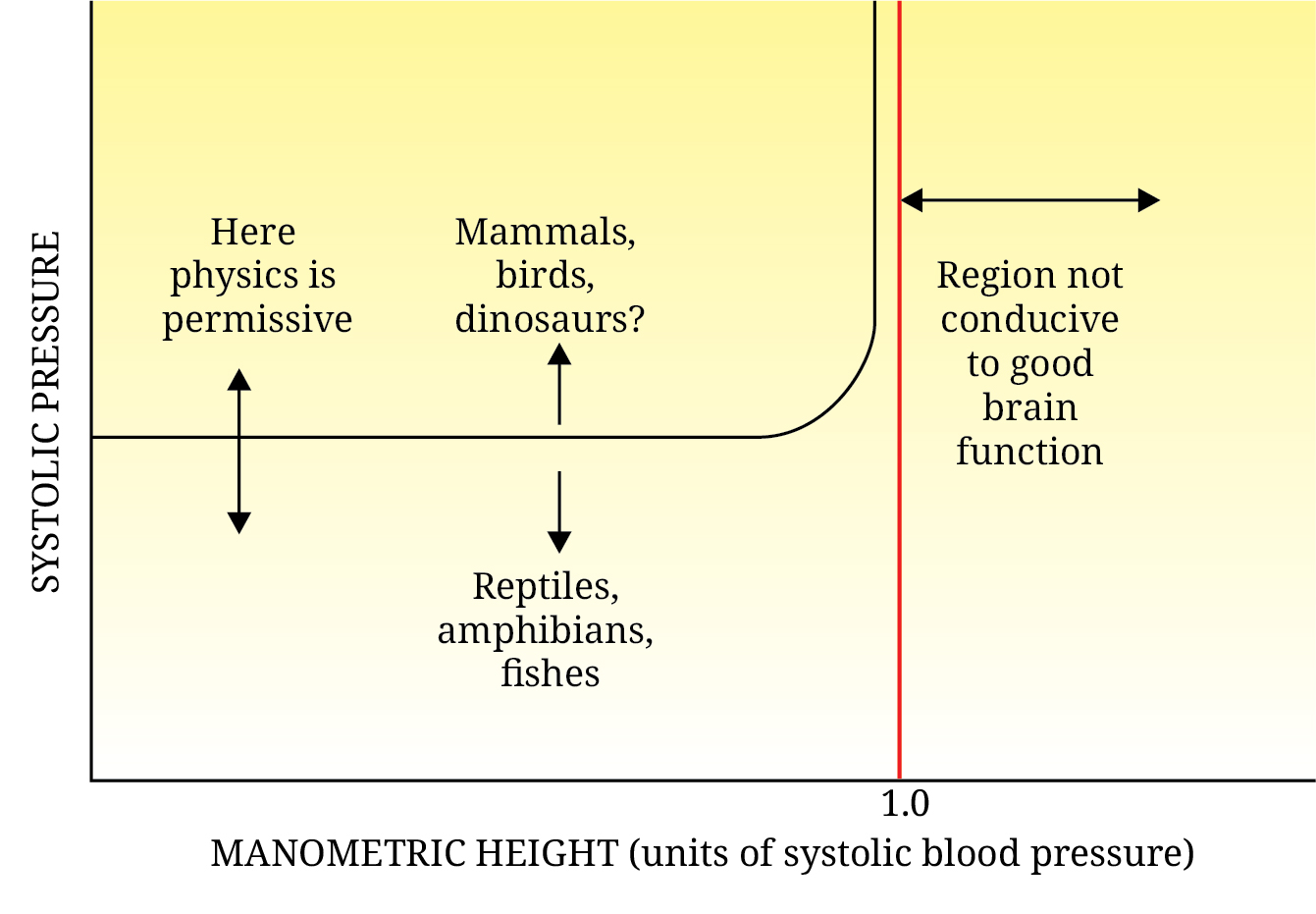 Graph plotting systolic blood pressure as a function of animal height.