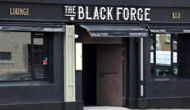 Man pleads guilty to knife attack on garda and arson at Conor McGregor's pub - The Journal