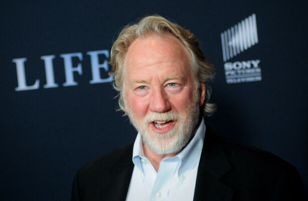 West Wing actor Timothy Busfield turns himself in over child sex abuse claims - The Journal