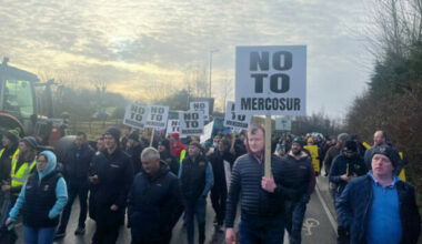 Irish MEPs among group seeking European Parliament to refer Mercosur deal to top EU court - The Journal