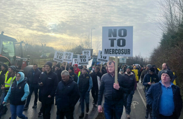 Irish MEPs among group seeking European Parliament to refer Mercosur deal to top EU court - The Journal