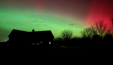 Did you catch a glimpse of the northern lights last night? - The Journal