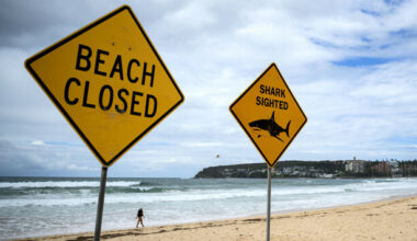 'Just go to a pool': Australia closes dozens of beaches after fourth shark attack in 48 hours - The Journal