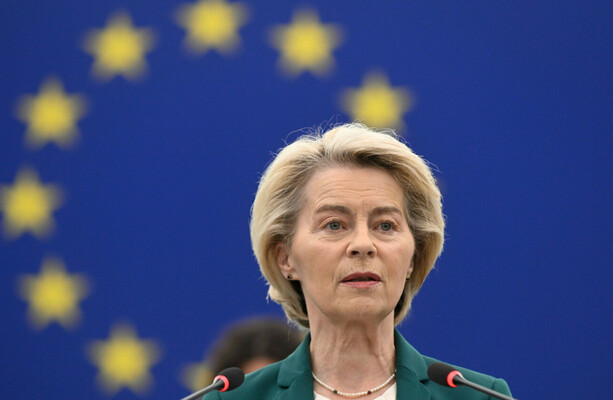 EU-Mercosur deal stalled after MEPs vote to refer it to European courts - The Journal