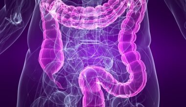 Obesity study reveals gut fat's unique inflammatory role and immune cell richness