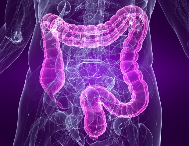 Obesity study reveals gut fat's unique inflammatory role and immune cell richness