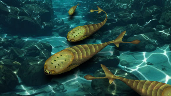 Life reconstruction of Sacabambaspis janvieri, a species of armored jawless fish that lived during the Ordovician period. Image credit: Kaori Serakaki, OIST.