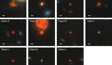 Little red dots are young supermassive black holes in dense ionized cocoons. Image credit: NASA / ESA / CSA / Webb / Rusakov et al., doi: 10.1038/s41586-025-09900-4.