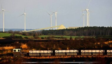 Ireland should use EU presidency to 'lead on renewable energy’